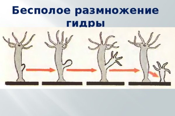 Кракен продажа