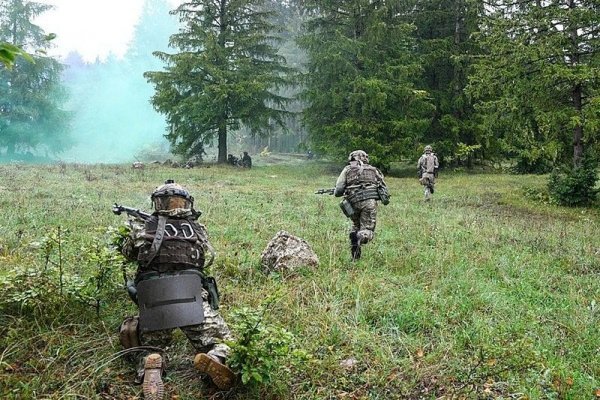 Что за приложение кракен