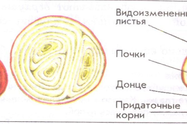 Кракен ссылка орион