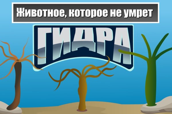 Не заходит на кракен